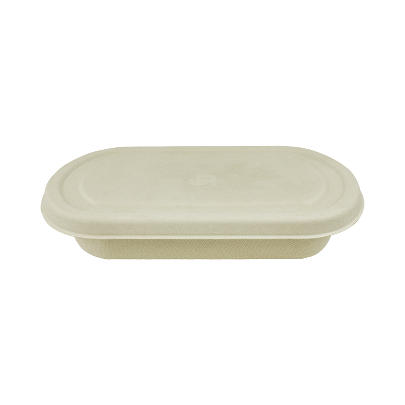 甘蔗渣食物容器