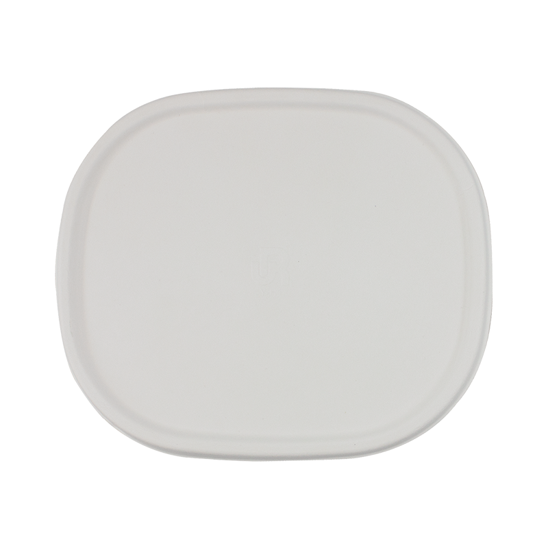 甘蔗渣食物容器