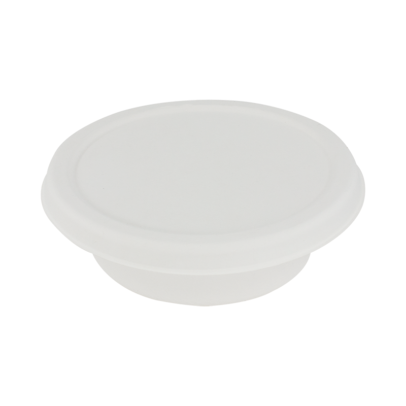 甘蔗渣食物容器